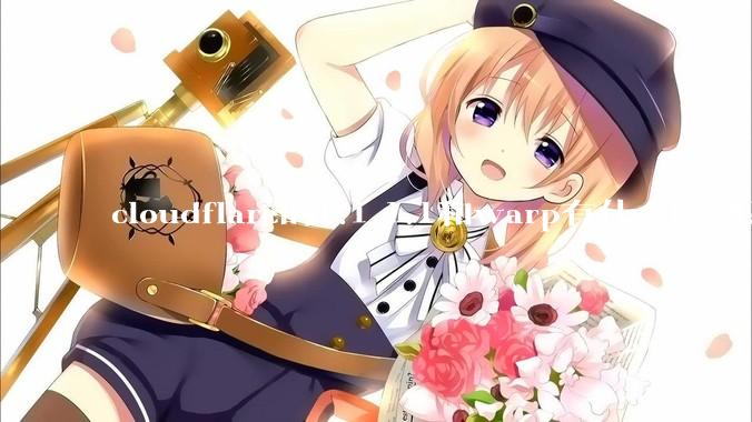 cloudflare的1.1.1.1和warp有什么区别？