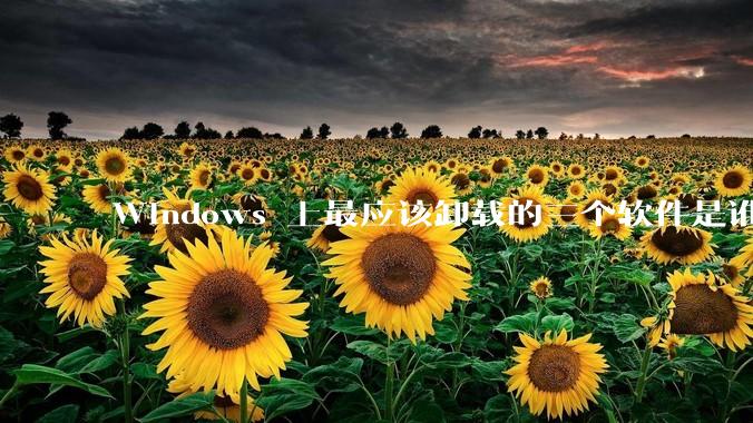 Windows 上最应该卸载的三个软件是谁？