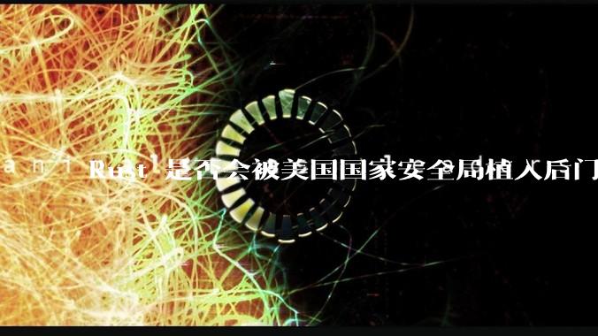 Rust 是否会被美国国家安全局植入后门？
