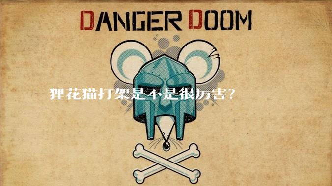 狸花猫打架是不是很厉害？