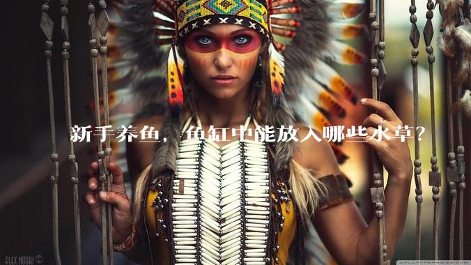 新手养鱼，鱼缸中能放入哪些水草？