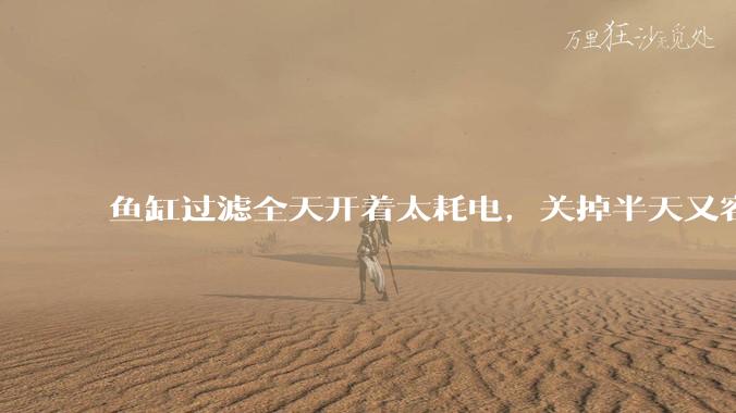 鱼缸过滤全天开着太耗电，关掉半天又容易水浑，有什么好办法？