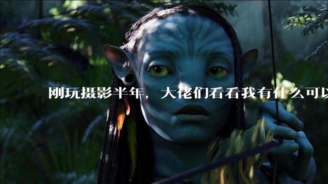 刚玩摄影半年，大佬们看看我有什么可以提升的地方吗?
