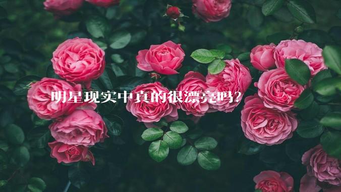 明星现实中真的很漂亮吗？