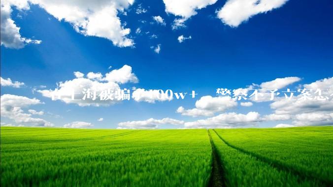 在上海被骗了100w+，警察不予立案怎么办？