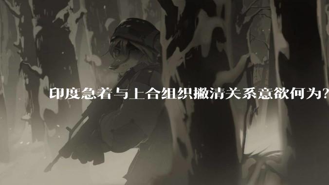 印度急着与上合组织撇清关系意欲何为？