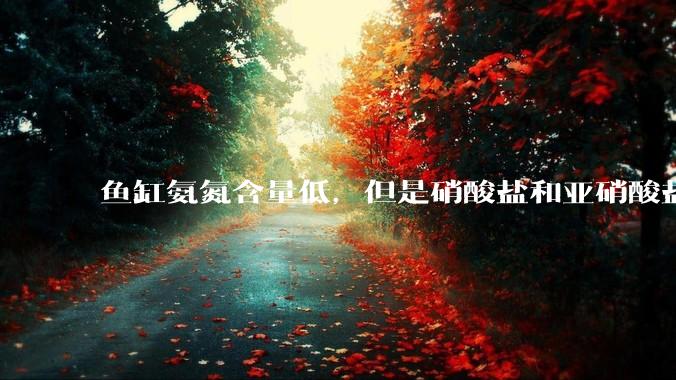 鱼缸氨氮含量低，但是硝酸盐和亚硝酸盐爆表，已经一个多周了，咋办？