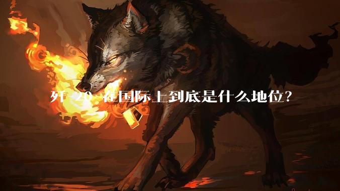 歼-20 在国际上到底是什么地位？