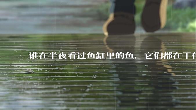 谁在半夜看过鱼缸里的鱼，它们都在干什么？