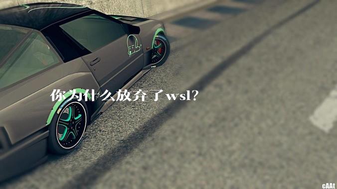 你为什么放弃了wsl？