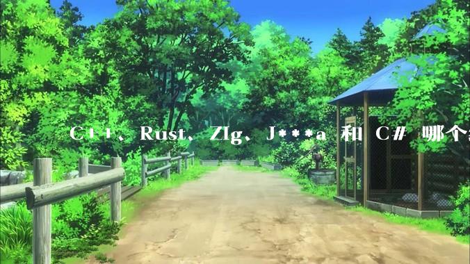 C++、Rust、Zig、J***a 和 C# 哪个编程语言更适合年轻人学习？